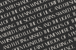 Ragion | Sans Serif Font Product Image 9