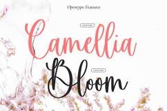 Antonella - Wedding Font Product Image 9