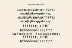 Soulmate Vasque Elegant Serif Font High Contrast Product Image 9