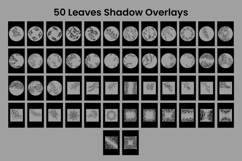 50 Leaves Shadow Overlays Product Image 9