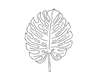 Palm Leaves svg, Botanical png Product Image 14