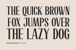 Softique Product Image 9