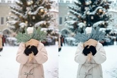25 Snowy Whisper Video LUTs Product Image 9