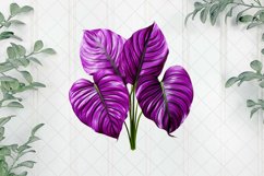 Tropical Vibrant Purple Sublimation Product Image 1