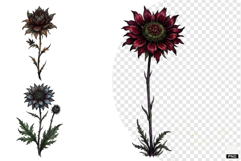 Goth Wildflowers Clipart Product Image 1