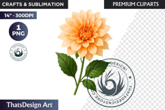 Flower Clipart PNG, Botanical Illustration Floral graphic Product Image 1