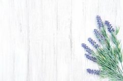 Lavender flowers wooden background template stock photo Product Image 1