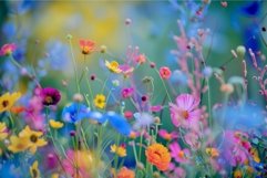 Vibrant wildflower meadow in bloom Product Image 1