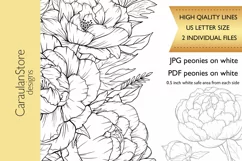 Floral Coloring Book Page, Peony Coloring Page, JPG, PDF Product Image 2