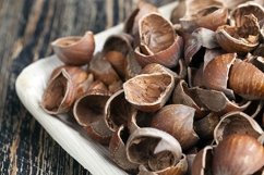 hazelnuts peeled from the shell Product Image 1