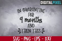 In Quarantine for 9 Months Svg, Baby Sayings Svg Product Image 1