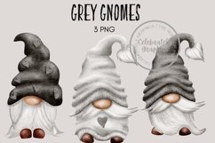 Grey Gnomes Product Image 1