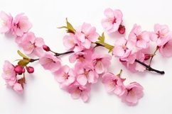 Blossoms Background Wallpaper Product Image 1