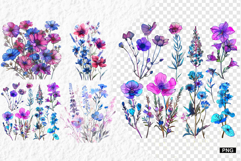 Summer Wildflowers PNG Product Image 1