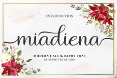 The Calligraphy Font Bundle Vol ll Product Image 6