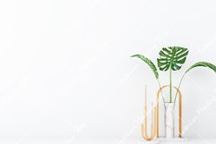 Mockup jpg 276 Product Image 2