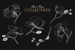 Branch of Orchids vector watercolor Product Image 2