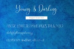 Web Font Young & Darling Font Product Image 8