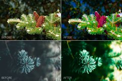 Fir Branches Lr Presets Product Image 8