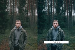 20 Woodlands Lightroom Presets &amp; LUTs Product Image 3