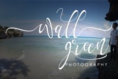 Web Font Yalanda Script Product Image 5