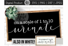 Scale of 1 to 10 Urinate, Funny Bathroom Saying SVG PNG JPEG Product Image 1