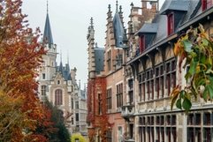 Red ivy growing on historical building facade in mechelen, b Product Image 1