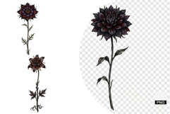 Goth Wildflowers Clipart Product Image 1