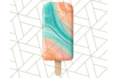 Coral and Aqua Summer Clipart PNG Pastel Tropical Icons Product Image 4