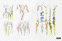 Summer Wildflowers PNG Product Image 1