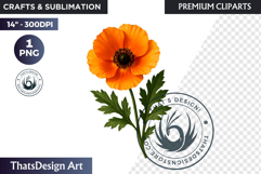 Flower Clipart PNG, Botanical Illustration Floral graphic Product Image 1