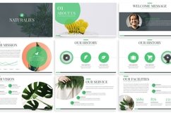 Naturalies - GoGreen Powerpoint Template Product Image 2