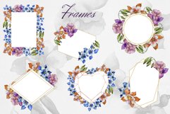 Aquilegia flowers velvet season watercolor png PNG Product Image 4