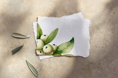 White mistletoe, snow berry, watercolor clipart PNG Product Image 3