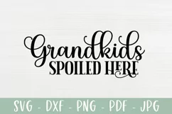 Grandkids Spoiled Here | Grandparent Farmhouse Sign SVG Product Image 2