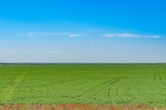Natural landscape with green field Product Image 1
