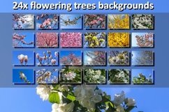 24x Beautiful backgrounds of flowering trees Product Image 1