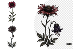 Goth Wildflowers Clipart Product Image 1