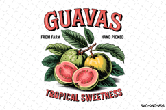 Guavas svg Design | Svg Files for Cricut Product Image 1