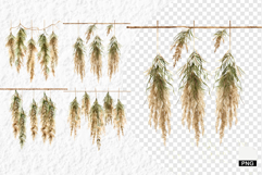 Summer Wildflowers PNG Product Image 1