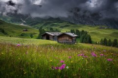 Flowers and cottages at Seiser Alm Product Image 1