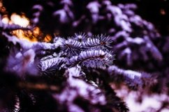 230 Winter Lightroom Presets Product Image 7