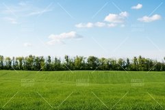 Green field with trees and blue sky Product Image 1