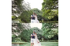 200 Wedding Day Mobile and Desktop PRESETS Product Image 8