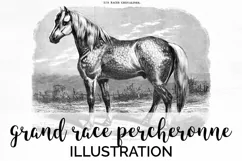 Horse Clipart Black and White Vintage Grand Race Percheronne Product Image 1