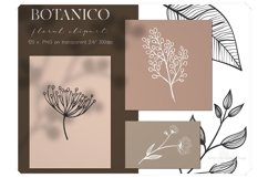 Line Art Botanical Clipart - Linear Floral Design Kit Product Image 1
