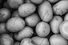 Photography to theme large baked plain potato in jacket Product Image 2