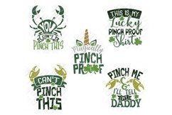 Pinch Proof SVG St Patricks Day in SVG, DXF, PNG, EPS, JPEG Product Image 3