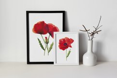 Scarlet Poppies sublimation Product Image 6