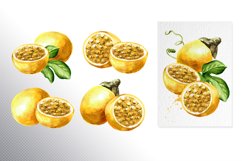 Passion fruit. Watercolor set Product Image 5